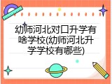 幼师河北对口升学有啥学校(幼师河北升学学校有哪些)