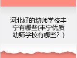 河北好的幼师学校丰宁有哪些(丰宁优质幼师学校有哪些？)