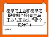 秦皇岛工业和秦皇岛职业哪个好(秦皇岛工业与职业选择哪个更好?)