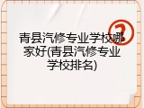 青县汽修专业学校哪家好(青县汽修专业学校排名)