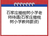 石家庄橄榄树小学老师待遇(石家庄橄榄树小学教师薪资)
