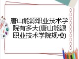 唐山能源职业技术学院有多大(唐山能源职业技术学院规模)