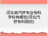 河北省汽修专业专科学校有哪些(河北汽修专科院校)