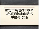 廊坊市纯电汽车维修培训(廊坊市电动汽车维修培训)