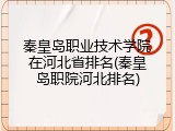 秦皇岛职业技术学院在河北省排名(秦皇岛职院河北排名)