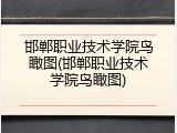 邯郸职业技术学院鸟瞰图(邯郸职业技术学院鸟瞰图)