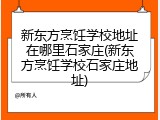 新东方烹饪学校地址在哪里石家庄(新东方烹饪学校石家庄地址)