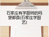石家庄有学厨师的吗望都县(石家庄学厨艺)