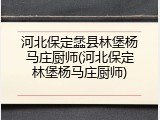 河北保定蠡县林堡杨马庄厨师(河北保定林堡杨马庄厨师)