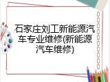 石家庄刘工新能源汽车专业维修(新能源汽车维修)