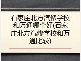 石家庄北方汽修学校和万通哪个好(石家庄北方汽修学校和万通比较)