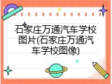 石家庄万通汽车学校图片(石家庄万通汽车学校图像)