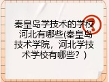 秦皇岛学技术的学校 河北有哪些(秦皇岛技术学院,河北学技术学校有哪些?)