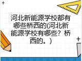 河北新能源学校都有哪些桥西的(河北新能源学校有哪些?桥西的。)