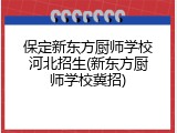 保定新东方厨师学校河北招生(新东方厨师学校冀招)