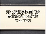 河北那些学校有汽修专业的(河北有汽修专业学校)