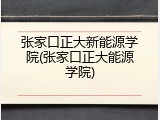 张家口正大新能源学院(张家口正大能源学院)