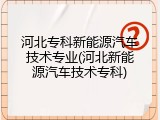 河北专科新能源汽车技术专业(河北新能源汽车技术专科)