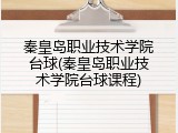 秦皇岛职业技术学院台球(秦皇岛职业技术学院台球课程)