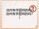 沧州有学厨师的吗(沧州有学厨师的吗?)