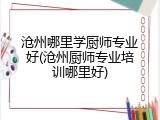 沧州哪里学厨师专业好(沧州厨师专业培训哪里好)