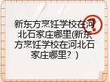新东方烹饪学校在河北石家庄哪里(新东方烹饪学校在河北石家庄哪里？)