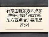石家庄新东方西点学费多少钱(石家庄新东方西点培训费用是多少)