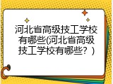 河北省高级技工学校有哪些(河北省高级技工学校有哪些?)