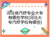 河北省汽修专业大专有哪些学校(河北大专汽修学校有哪些)