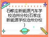 石家庄新能源汽车学校沧州分校(石家庄新能源学校沧州分校)