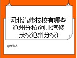河北汽修技校有哪些沧州分校(河北汽修技校沧州分校)