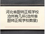 河北省厨师正规学校沧州有几所(沧州省厨师正规学校数量)
