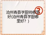 沧州青县学厨师哪里好(沧州青县学厨哪里好？)