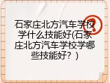 石家庄北方汽车学校学什么技能好(石家庄北方汽车学校学哪些技能好？)