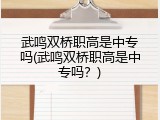武鸣双桥职高是中专吗(武鸣双桥职高是中专吗?)