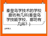 秦皇岛学技术的学校 廊坊有几所(秦皇岛学技能学校，廊坊有几所？)