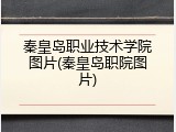 秦皇岛职业技术学院图片(秦皇岛职院图片)