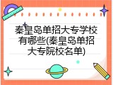 秦皇岛单招大专学校有哪些(秦皇岛单招大专院校名单)