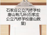 石家庄公立汽修学校唐山有几所(石家庄公立汽修学校唐山数量)