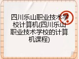 四川乐山职业技术学校计算机(四川乐山职业技术学校的计算机课程)