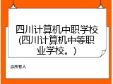 四川计算机中职学校(四川计算机中等职业学校。)