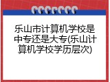 乐山市计算机学校是中专还是大专(乐山计算机学校学历层次)