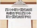 四川中职计算机统招有哪些学校(四川中职计算机统招学校)
