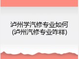 泸州学汽修专业如何(泸州汽修专业咋样)