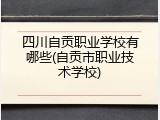 四川自贡职业学校有哪些(自贡市职业技术学校)