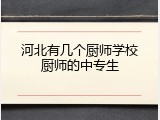 河北有几个厨师学校厨师的中专生