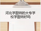 河北学厨师的大专学校学厨师好吗