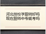 河北技校学厨师好吗现在厨师中专能考吗
