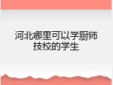 河北哪里可以学厨师技校的学生