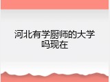 河北有学厨师的大学吗现在